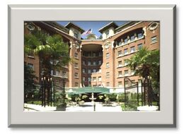 Hotels - 