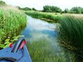 Naturschutzgebiet 'Wicken Fen' der Rivers Ouse und Cam