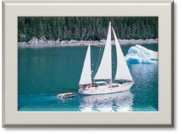 Island Roamer - 