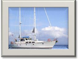 Island Odyssey - 