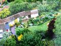 Warwick | Mill Street Gardens