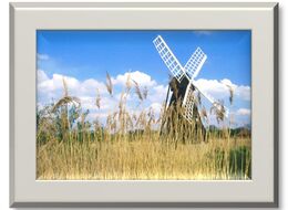 Marina Ely - Cambridgeshire