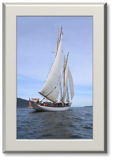 Schooner 'Zodiac' - 