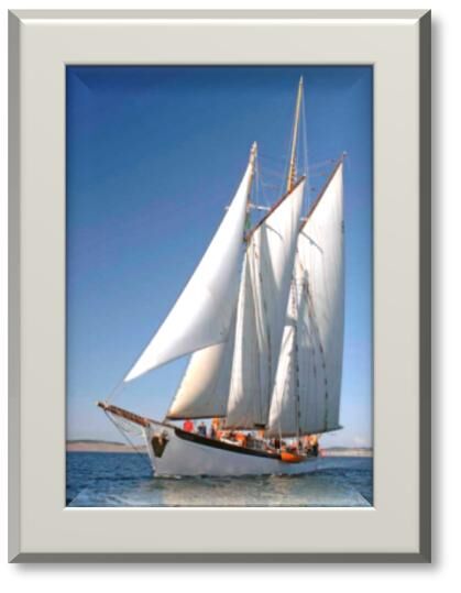 USA | Pacific - Windjammer Sailing