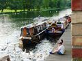 St. Neots | Marina