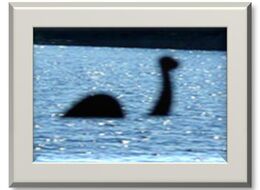 Marina Inverness - Scotland, Infos + Angebot auf Anfrage