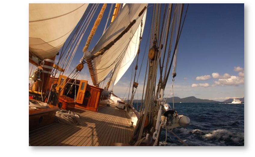 Brewery Cruises