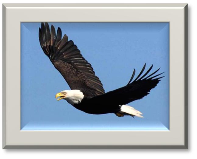 Tour: Southeast Alaska