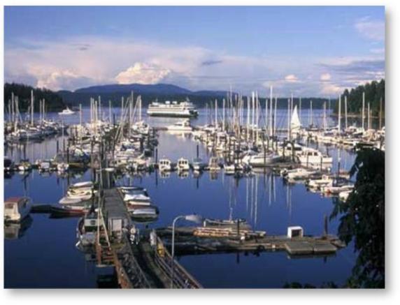 Revier: San Juan Islands