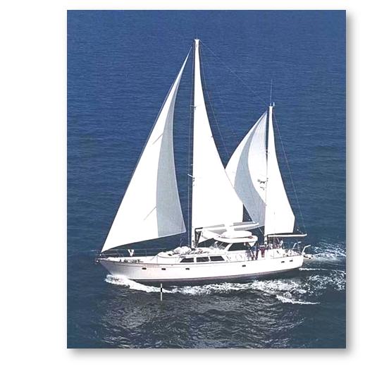 SY Island Odyssey